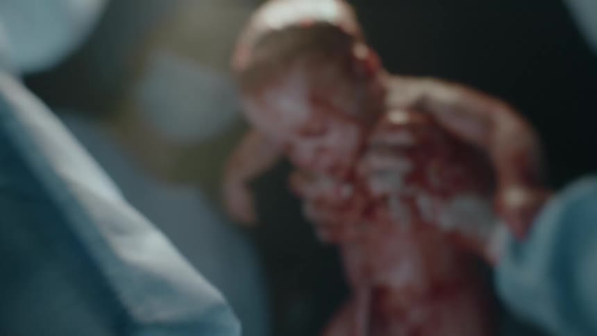 A doctor lifting a newborn baby as it is born