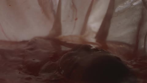 Unborn human baby inside the womb while amniotic fluid flushes out