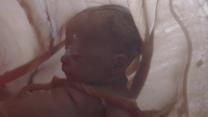 A baby is shown in the womb of a mother