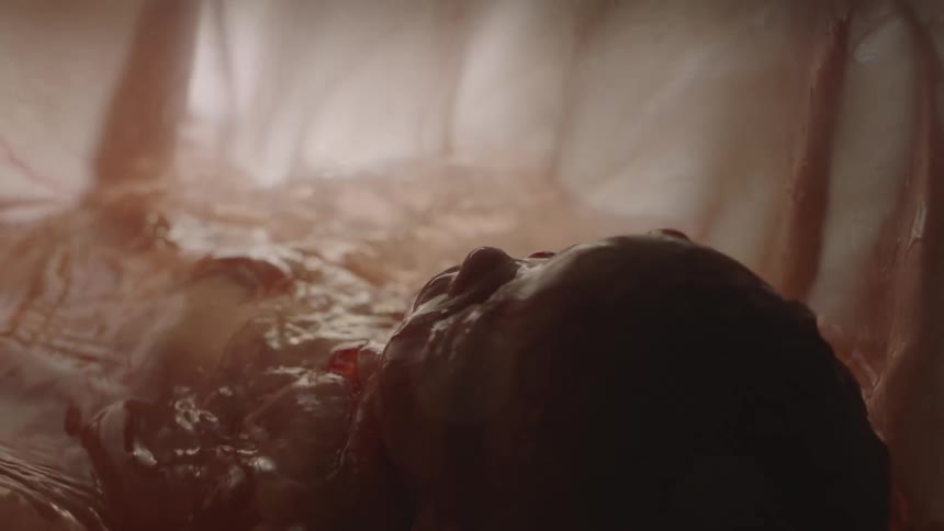Amniotic fluid surrounds the baby in the womb