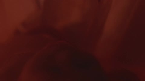 Unborn baby in mothers womb
