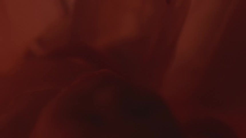 Unborn baby in mothers womb