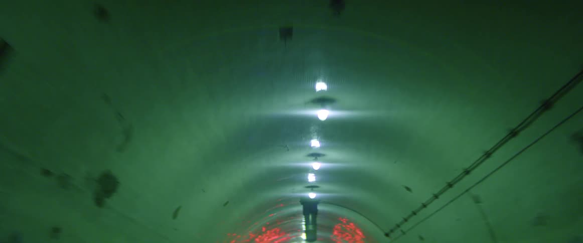 A car driving through a city tunnel at night
