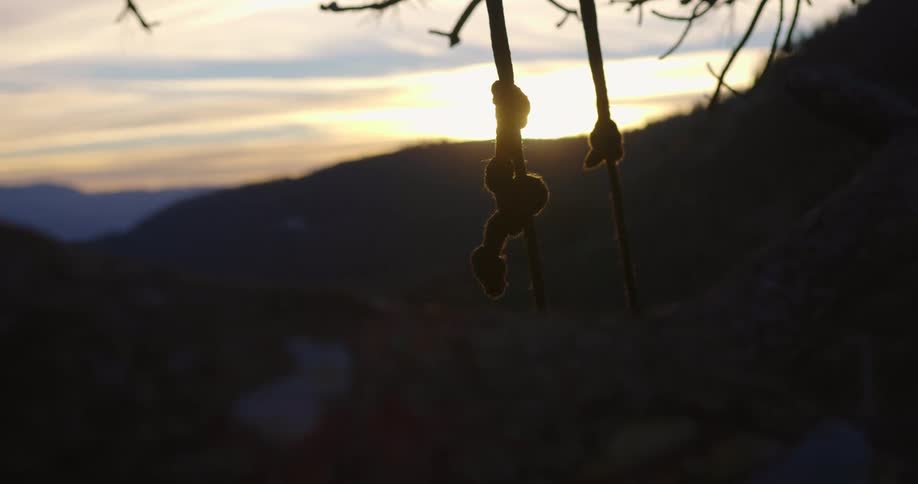 The sun is setting in the horizon