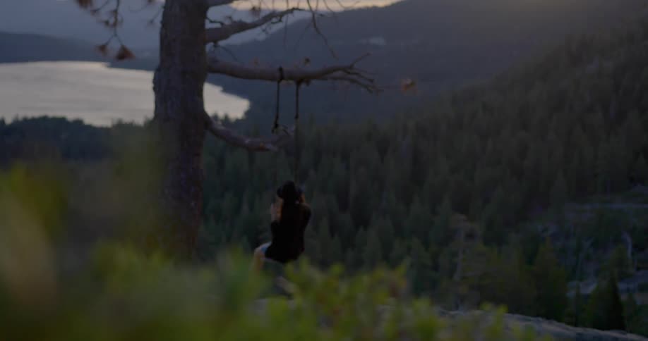 A woman is on a swing on a tree and surrounded by trees and overlooking water and mountains at dusk