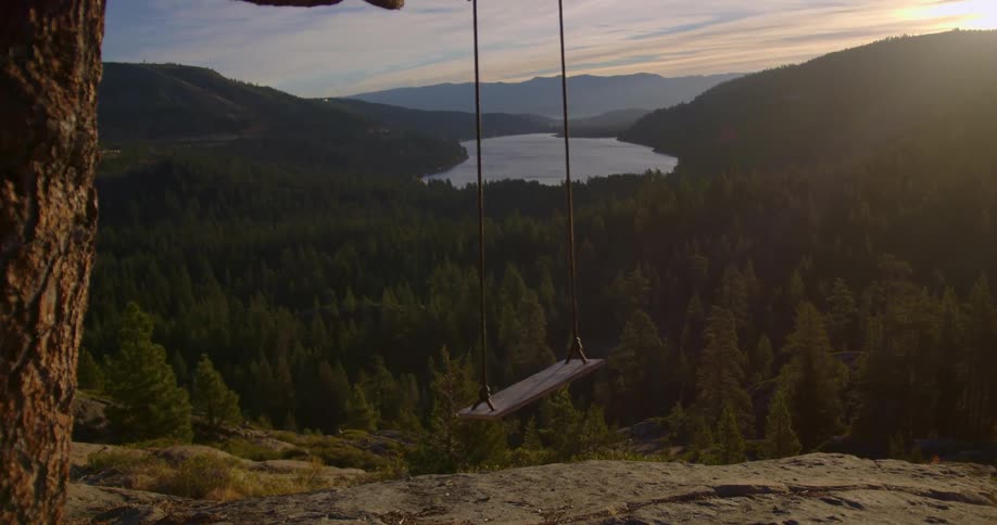 A homemade swing hangs from the branch of a tree that overlooks and forest and lake
