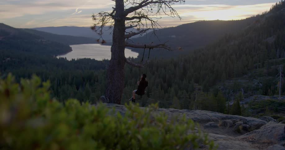A person is on a swing on a tree overlooking water and mountains at dusk