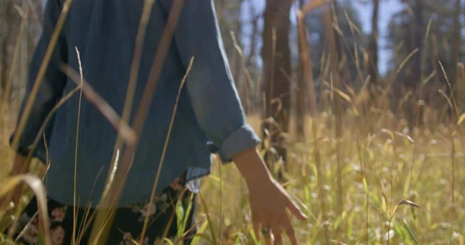 A woman stretches her hands out and touches the tall grass as she walks through a field