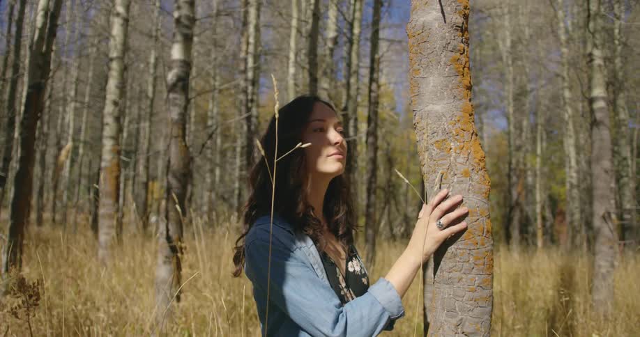 A woman walking through a heavily wooded area grabs a hold of a tree