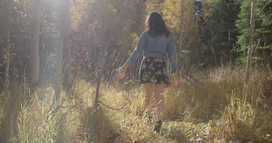 A young woman walks through a grassland towards a forest