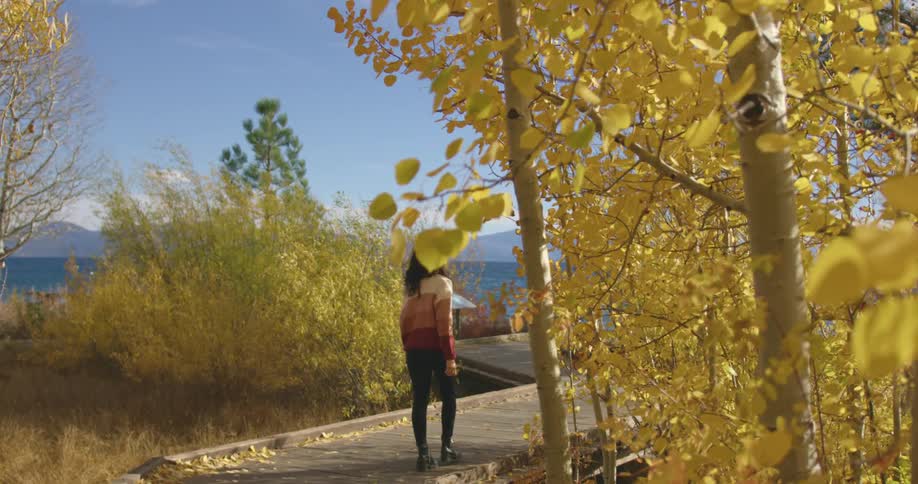 A woman walks on a small pathway in a rural neighborhood with yellow leaves on the trees