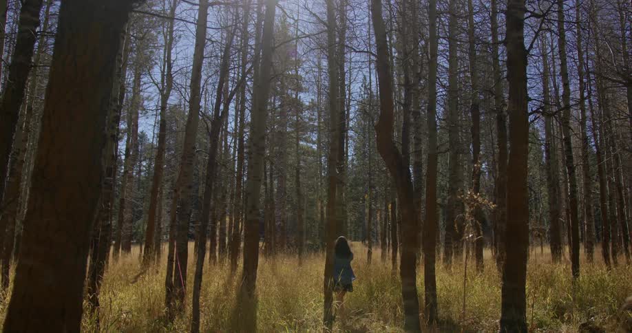Girl walks into forest with tall grass and many trees and a bright sun in the clear sky