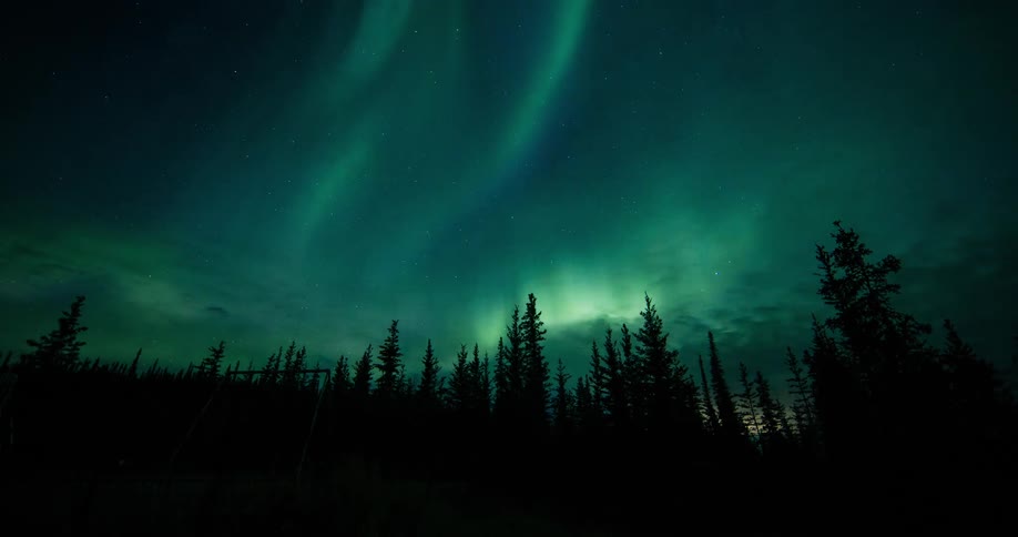 Time lapse of northern lights moving over a forest
