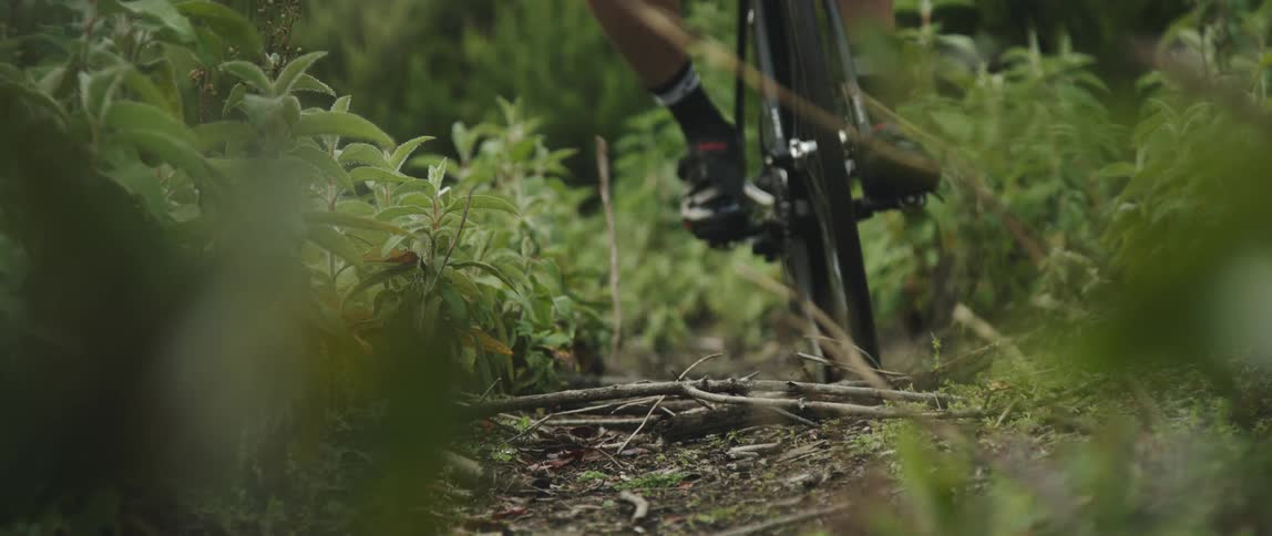 close up of bicycle driving over and breaking twigs and branches on an overgrown forest road