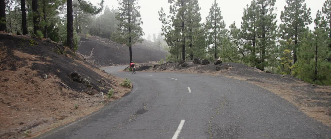 cyclist speeding through curves downhill on a mountain road with black gravel and trees