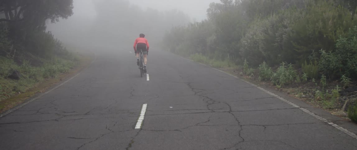 camera follows Cyclist pedaling bicycle up a foggy bush road