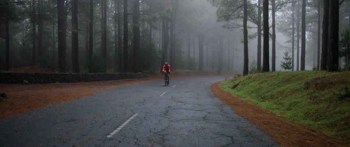 wide frontal tracking shot of a cyclist pedaling through a cracked forest road