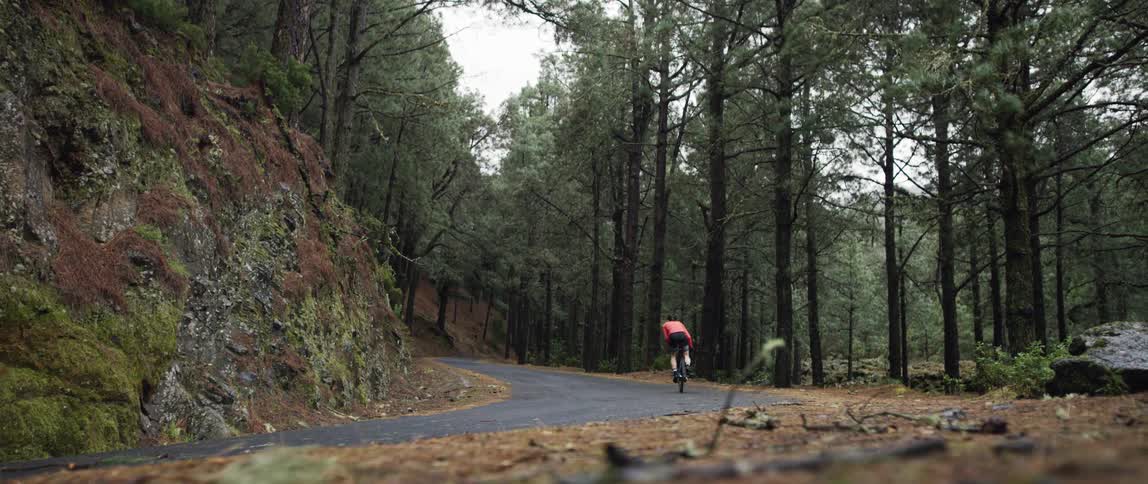 cyclist pedaling up hill  on a forest asphalt road