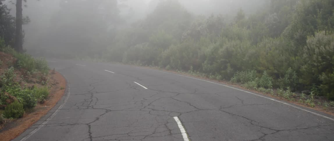 camera pushes along a fog covered asphalt forest road