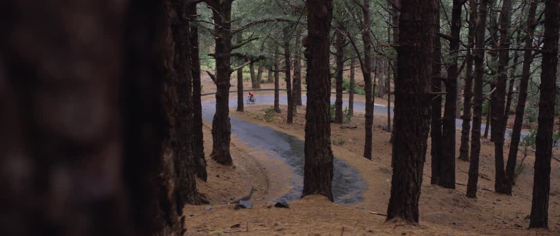 wide shot of a cyclist pedaling up hill on a winding forest road trail