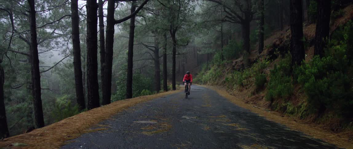 center frontal tracking shot of a cyclist pedaling up hill on a foggy forest road while its snowing