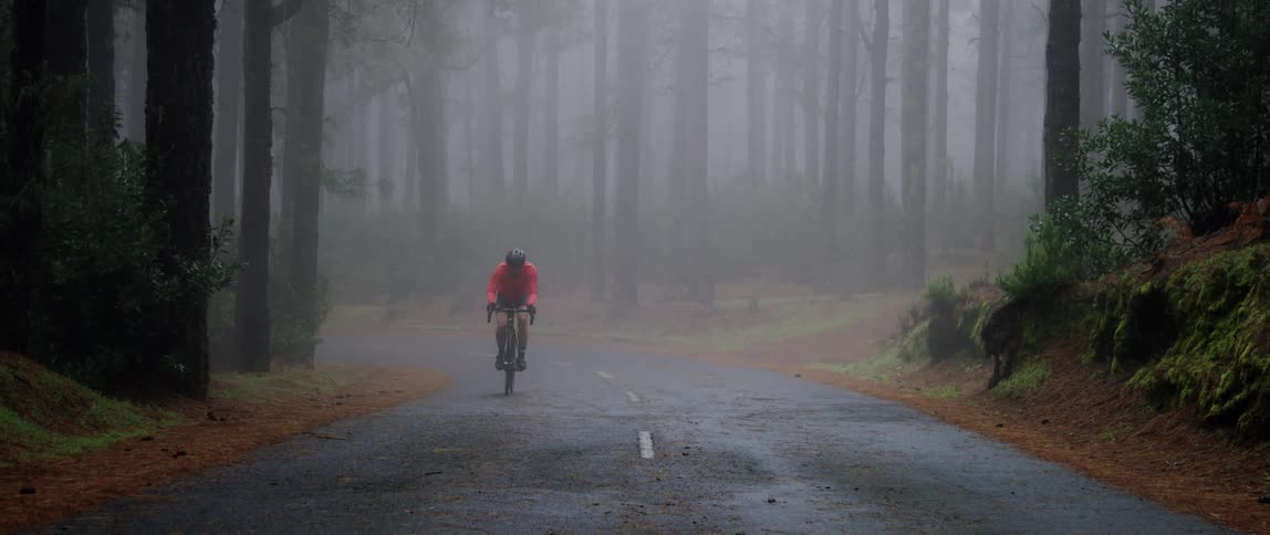 frontal wide tracking shot of a cyclist pedaling up hill on a foggy forest road