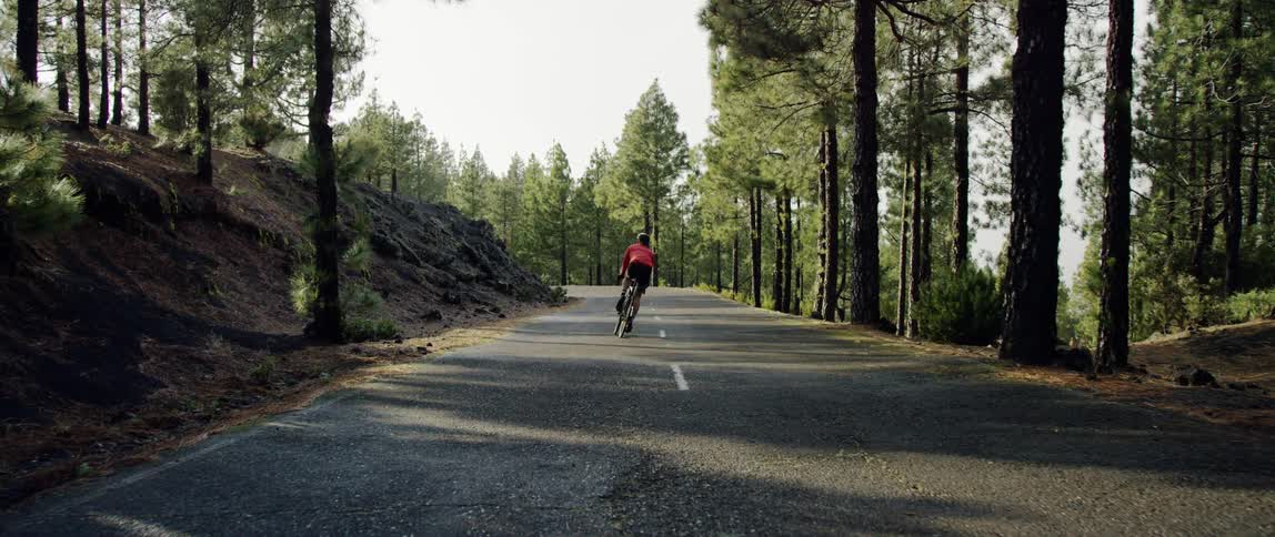 wide tracking shot of a cyclist traversing out of the forest and on to a paved tarmac road