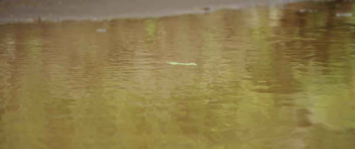 reflection of a cyclist on a surface of water