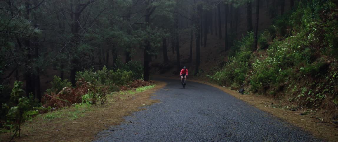 center frontal tracking shot of a cyclist pedaling up hill on a forest road