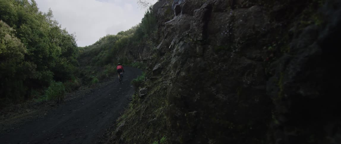 Cyclist rides bicycle on dirt trail through grove and rocks