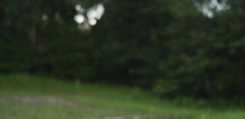 Casting a fishing pole while fly fishing in a stream