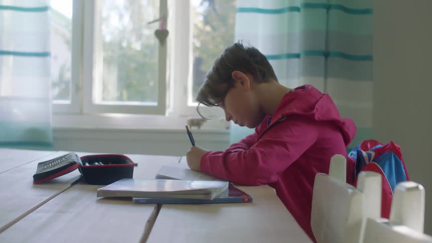 Boy wearing hoodie works at wooden table near window