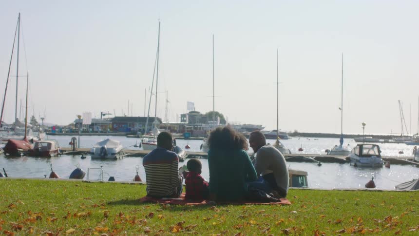A group of people sit on the grass on the shore and look at boats