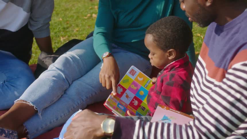 A group of people sitting on a blanket in a field help a small boy to look at a picture book