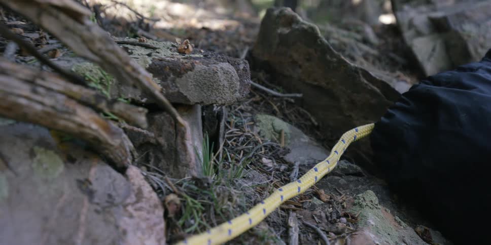 Rope is being pulled over some stones and branches