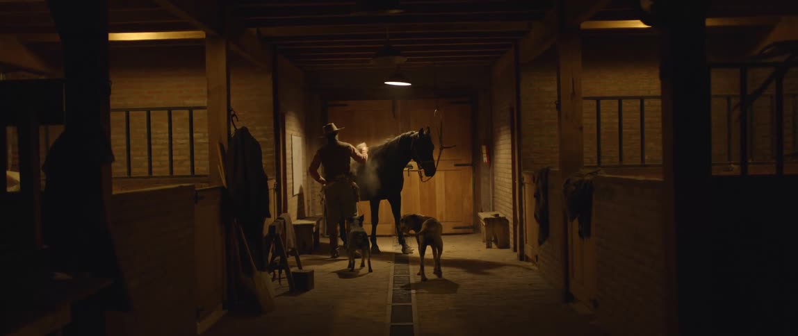 A man stands in a stable brushing a horse with a dog standing beside him