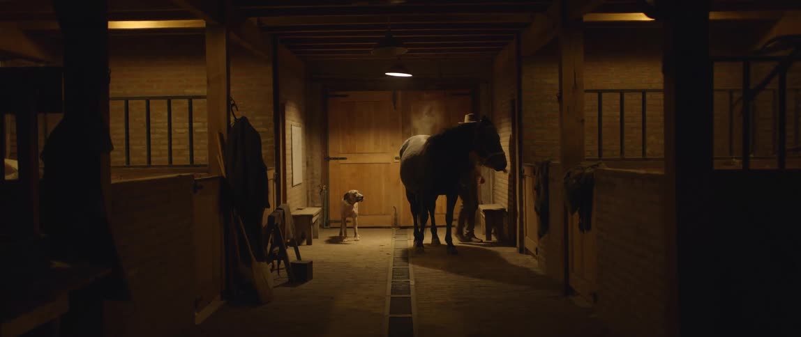 A man pats a horse as it stands with a dog in a stable at night
