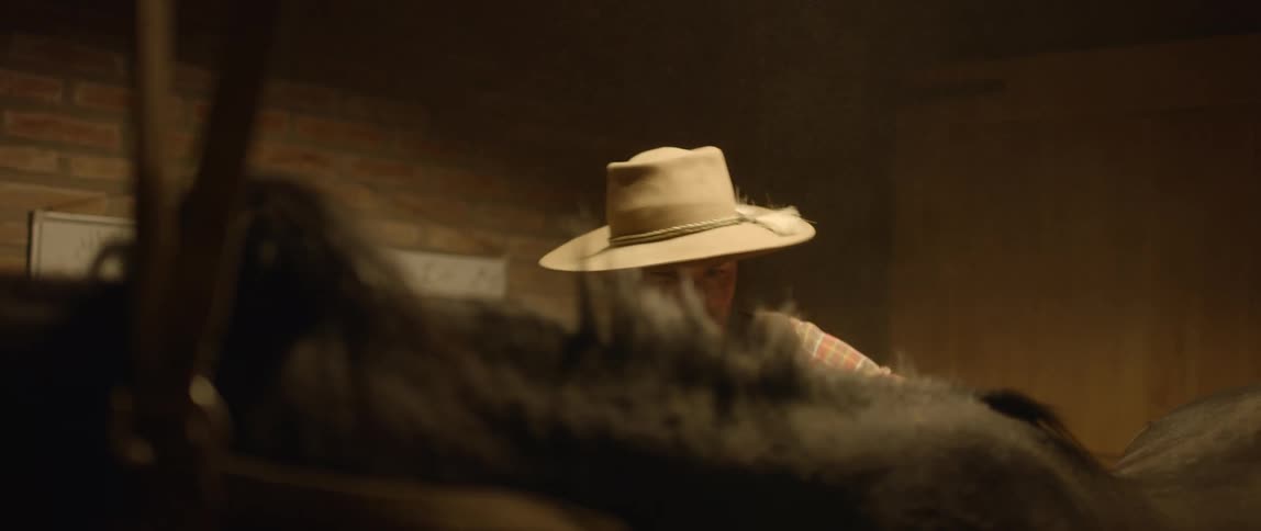 Man wearing a hat brushes the dust out of a black horses mane in a barn