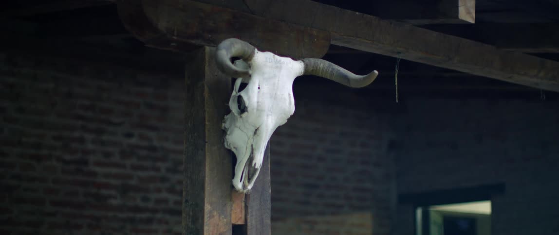 The skull of a bull with horns hands on a wooden column outside a house