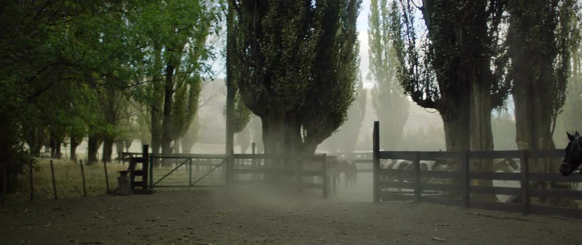 Man riding horse follows horse herd into corral as they kick up dust
