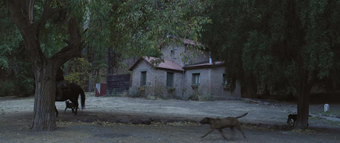 A person rides a horse with dogs follow them by a rural home