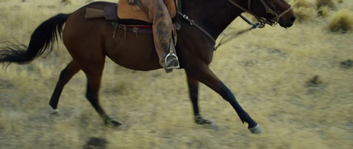 A cowboy riding a galloping horse in a rural area in the daytime