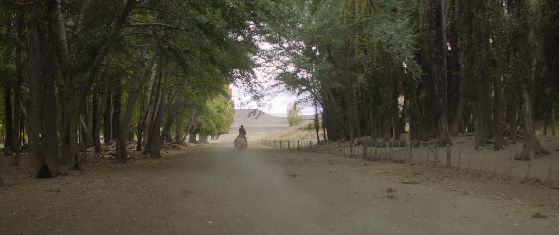A person rides down a dirt road with a canopy of trees on a horse