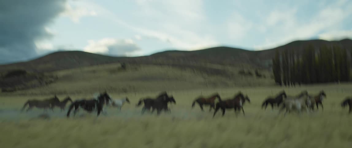 Horse herd runs across field near hills with stormfront in background