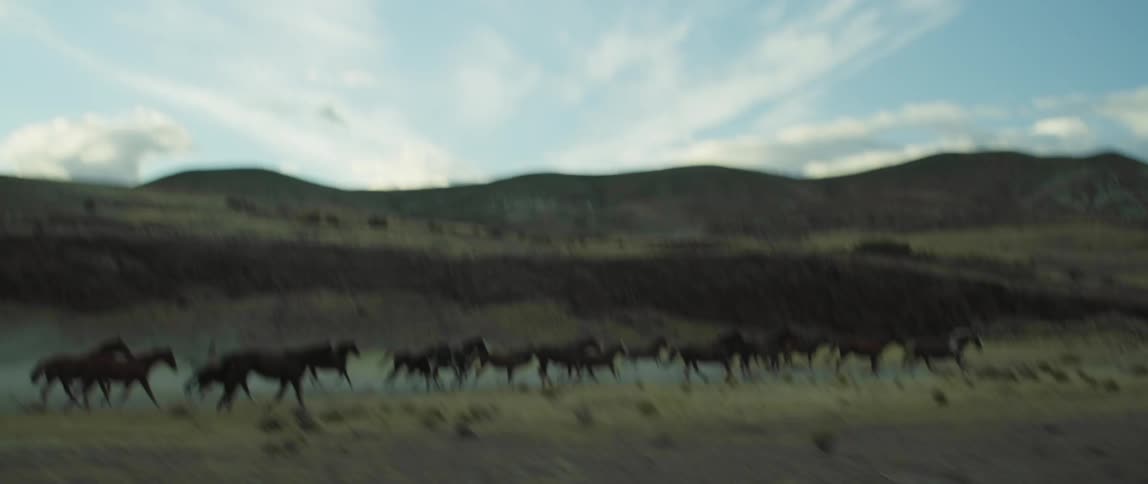 Wild horses running on prairie with mountains and a cloudy sky in the background
