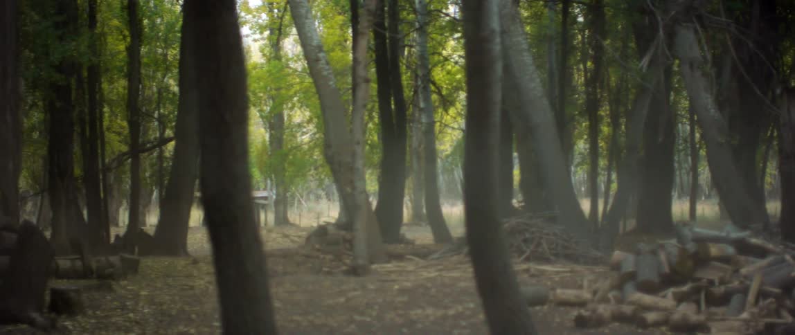Horse rider rides past woods littered with piles of logs and wooden platform