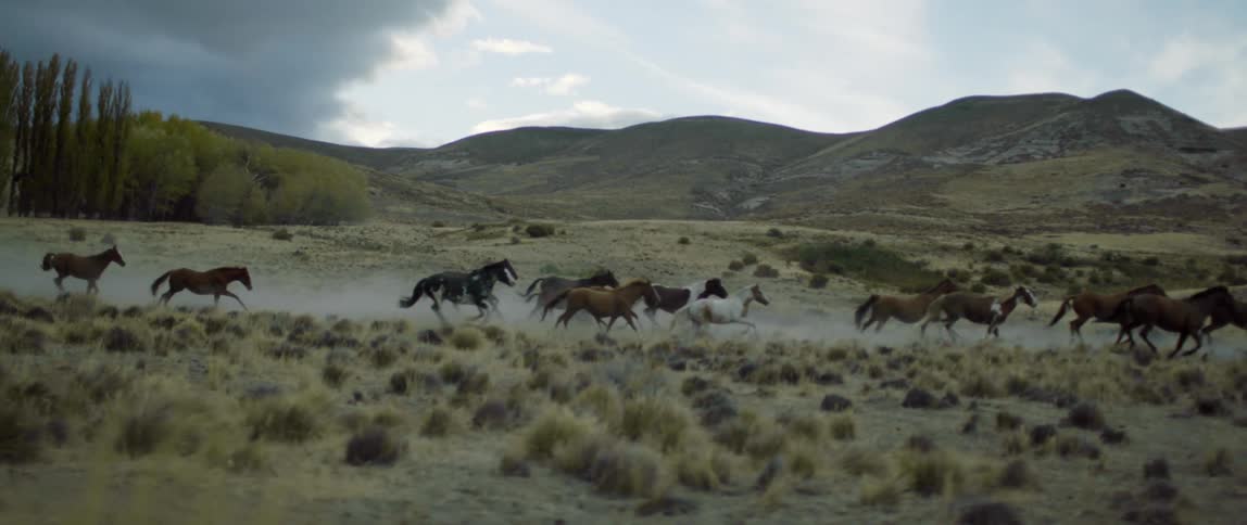 Wild horses running on prairie with mountains in the background and a cloudy sky