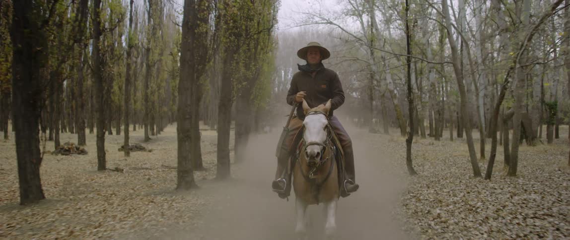 A man is riding a horse in a rural area