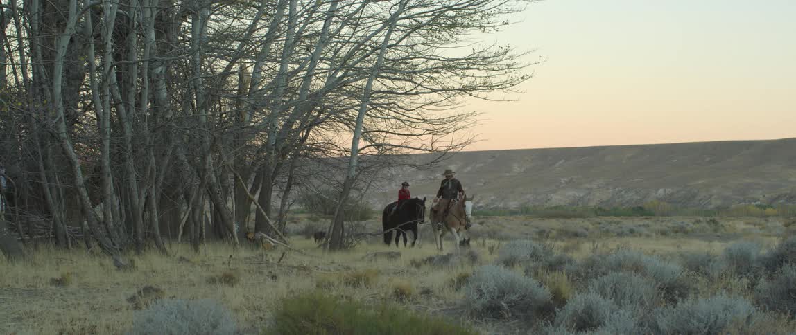 Two men are riding horses at dusk