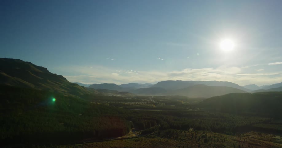 Aerial view of the green pine forests in a valley between the mountains on a clear day
